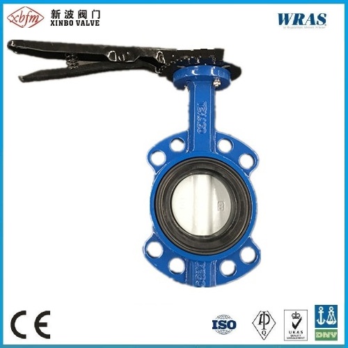 Wafer Type Pinless Non-Backed Seat Butterfly Valve