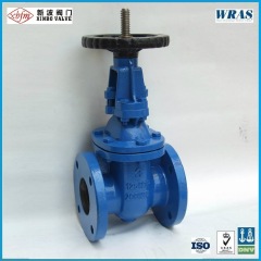 JIS-10K/16K Ductile Iron Gate Valve