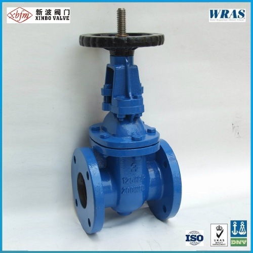 ANSI-125/150 Cast Iron Gate Valve