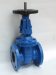 BS5163/BS5150 Ductile Iron Gate Valve (Non Rising Stem)