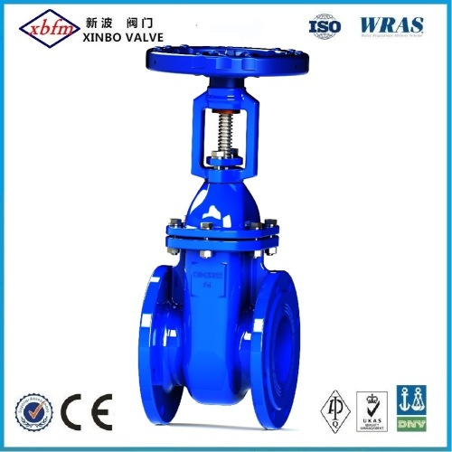 BS5163/BS5150 Ductile Iron Gate Valve (Rising Stem)