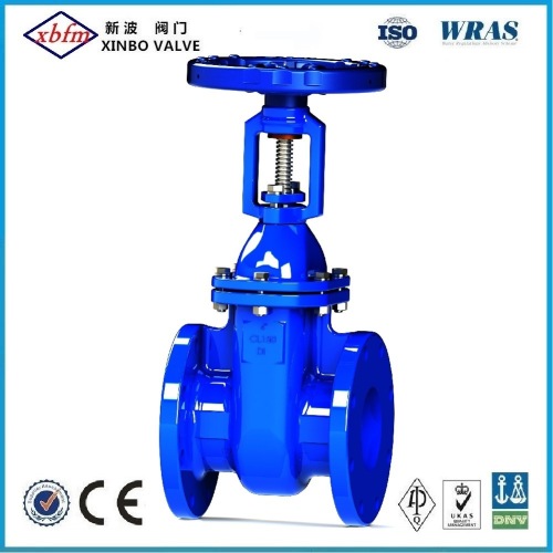 BS5163/BS5150 Cast Iron Gate Valve (Rising Stem)