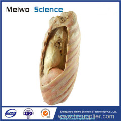 Mediastinal viscera with thorax plastinated specimen