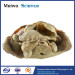 Abdominal viscera and caeliac trunk medical specimen plastination