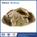 Abdominal viscera and caeliac trunk medical specimen plastination