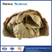 Abdominal viscera and caeliac trunk medical specimen plastination