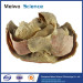 Abdominal viscera and caeliac trunk medical specimen plastination