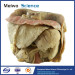 Abdominal viscera and caeliac trunk medical specimen plastination