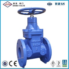 ANSI Cast Iron Gate Valve