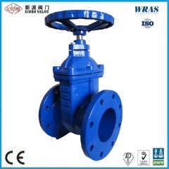 BS5163 Ductile Iron Resilient Seated Gate Valve