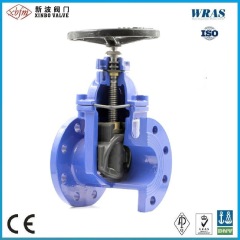 BS5163 Ductile Iron Resilient Seated Gate Valve