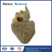 Cardiac conduction system plastination specimen