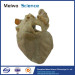 Cardiac conduction system plastination specimen