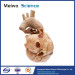 Cardiovascular plastianted specimen for medical anatomy teaching