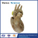 Heart with coronary vessels plastinated specimen for sale