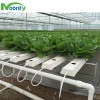 Agriculture Greenhouses Hydroponics System