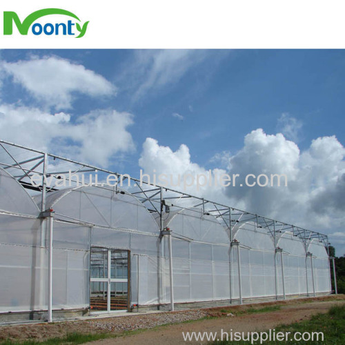 Multi span greenhouse for farm
