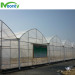 Multi span greenhouse for farm
