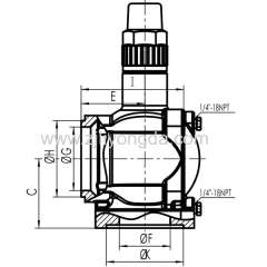 PT type 1/2