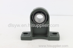 Chinese Supplier Best-selling Pillow Blocks Bearing UCPH204