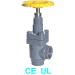 Angle Cast Steel Globe Valve