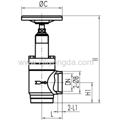 Angle Cast Steel Globe Valve