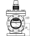 Cast Screw Compressor Valve