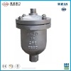 Single Ball Sphere Stainless Steel Thread End Air Release Valve with DIN Pn16
