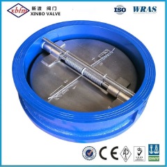 Cast Iron Double Disc Wafer Type Check Valve