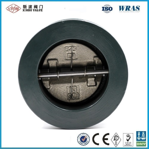 Cast Iron Double Disc Wafer Type Check Valve