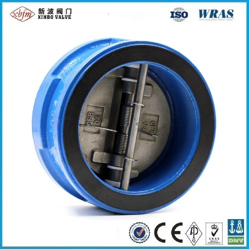 Cast Iron Double Disc Wafer Type Check Valve