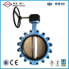 Cast Iron Ductile Iron Lug Type Butterfly Valve