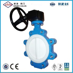 Cast Iron Ductile Iron Lug Type Butterfly Valve