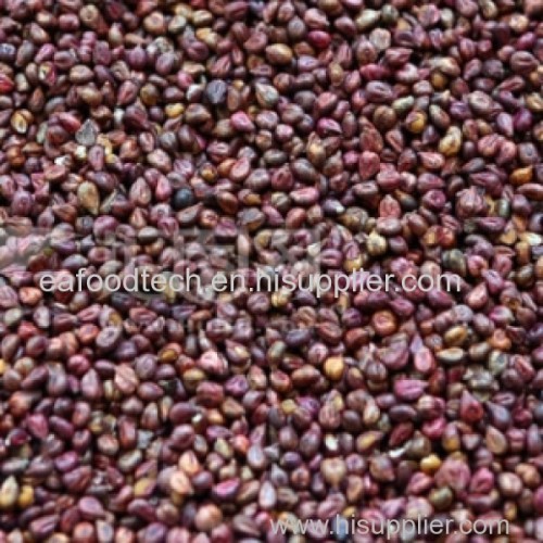 Grape Seed and Polyphenol Extract