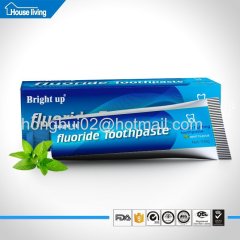 Alibaba China Private Label mint flavor basic cleaning teeth whitening toothpaste Dental Hygiene Products