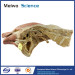 Sagittal section of female pelvis with uterus vessels plastinated specimen