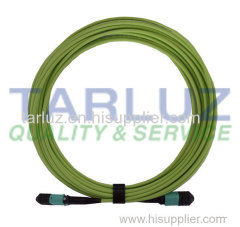 MPO/MTP 24 Fiber Patch Cable Assembly