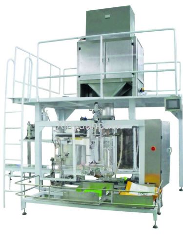 Big bag packaging machine