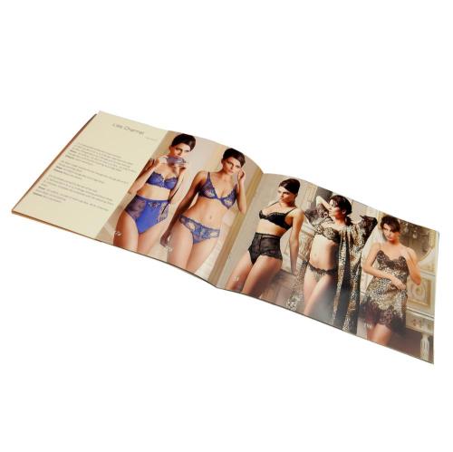 China full color softcover cheap brochure printing