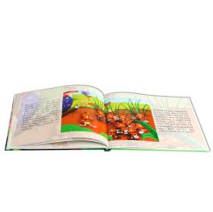 China cheap full color hardcover paperback child book printing