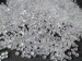 pp granule manufacturers natural color recycled polypropylene pp