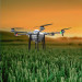 10L Agricultural Battery Sprayer UAV Drone