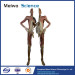 Divided people medical specimen plastination