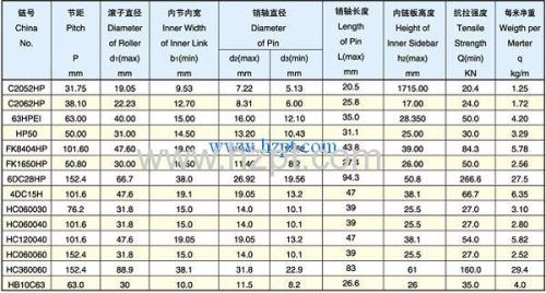 Stainless Steel Hollow Pin Chain HP50 FK8404HP FK1650HP For Construction Petroleum Chemical Industry