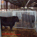 livestock fencing yard panels