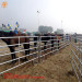 livestock fencing yard panels