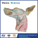 Superficial vein of dog head and neck plastination specimen