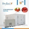 Commercial electric hot wind vegetable fruit dryer fruit drying machine