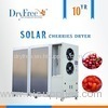 Hot air heat pump dehydrator fruit drying bamboo shoots machine