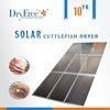 Industrial Dehydrated Pumpkin Solar Dry Equipment